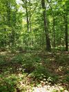 0 Castleman Road photo
